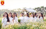 Ngẩn ngơ ngắm hoa khôi sinh viên Hà Nội khoe sắc bên cúc họa mi